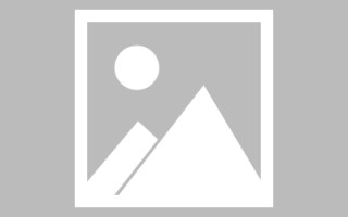 乐山编制网站建设（编制网站建设包括哪些）